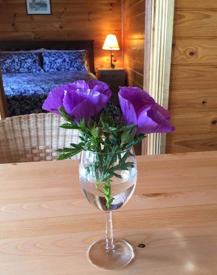 Molly'S Chase Bed and Breakfast Emu Flat Eksteriør billede